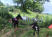 Beautiful Doberman girl