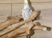 Baby Cockatiels all colours available,17