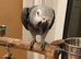 Silly tame African grey