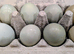Proven Hatching Eggs