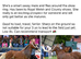 Arad Vienna- Registered Welsh Section A