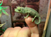 Jackson’s chameleons three horned WOW AMAZING!