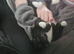 Black cat for sale