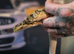 Orange dream enchi pied