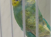 RAINBOW HEN RING NUMBER 33 GREEN RING 2026 Bred