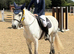 Bella 147cm 8yo Connie N/HW