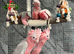 Baby Handreared Super Tame Cuddly Friendly Galah Cockatoo Parrot,24