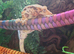 Lily white crested gecko
