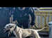 DARKWATCHDOGS RAZER NKC REG AVAILABLE FOR STUD