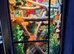 Giant Madagascan day gecko with full setup