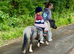 Princess - The Sweetest First Pony