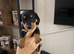 Beautiful Dachshund puppies ready to home