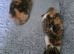 2 unusual british shorthair girls