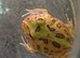 Pac-Man (Horned) Frog babies cb26
