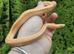 Albino Coastal Rosy Boa For Sale
