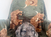 ️ beautiful cocker spaniel puppy&rsquo;s for sale ️
