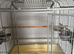 Large bird cage for sale, collection only. PAID 190