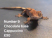 Cappuccino juvenile Crested geckos