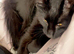 Pretty Mavis