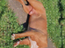 Male staff 3 years old