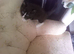 Kitten for new loving home