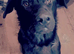 Loving male Shepherd cross
