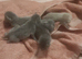 Stunning British blue kittens