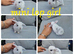 5 mini lop babies