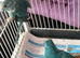 1 pair of kakarikis