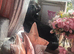 Black Pekingese puppy