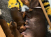 2 male puppies left