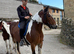 Zafir 14hh 8 year old cob mare