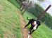 16 Month Great Dane