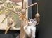 Stunning British short hair kittens