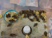 Jumbo quail chick's and white buttons
