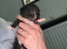 4 beautiful kittens