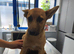 SALMA – The Gentle Little Princess with the Kindest Heart