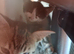 2 male kittens
