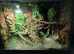 Vivexotic Arboreal Vivarium