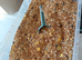 Cage bird parakeet seed mix