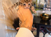 6 gorgeous Bengal kittens
