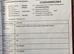 Irish draught mare unregistered