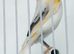 Harqulien hens