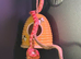 Corn snake with viv for sale