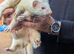 2Jill ferrets