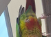 Semi tame conure