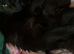 3 beautiful kittens 2 girls 1 boy