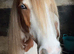 12.2 cob gelding
