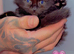 3 Kittens