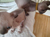 Sphynix kitten one left